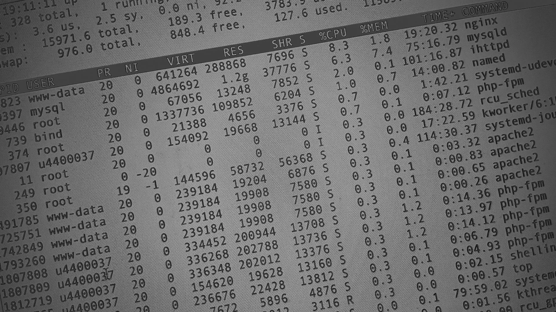 Настройка сервера в Емве Настройка сервера в Емве