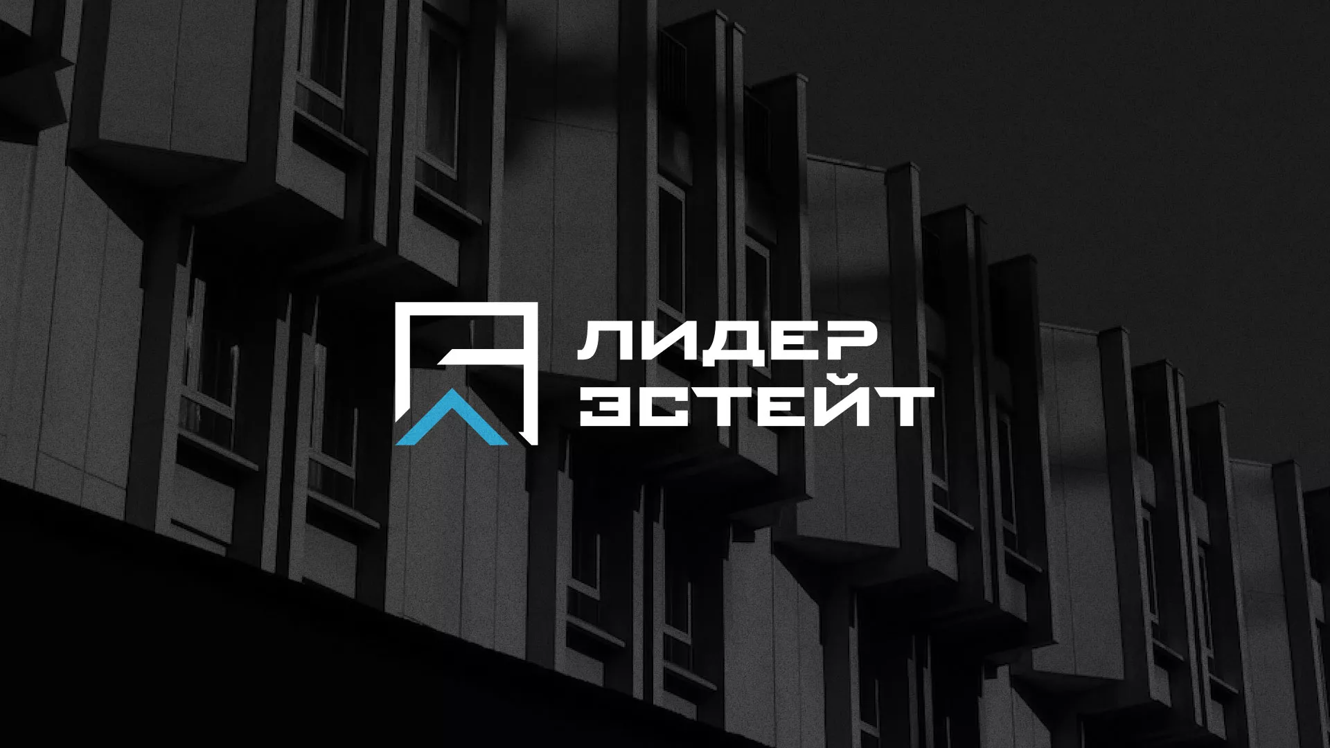 Разработка логотипа агентства недвижимости «Лидер Эстейт» в Емве